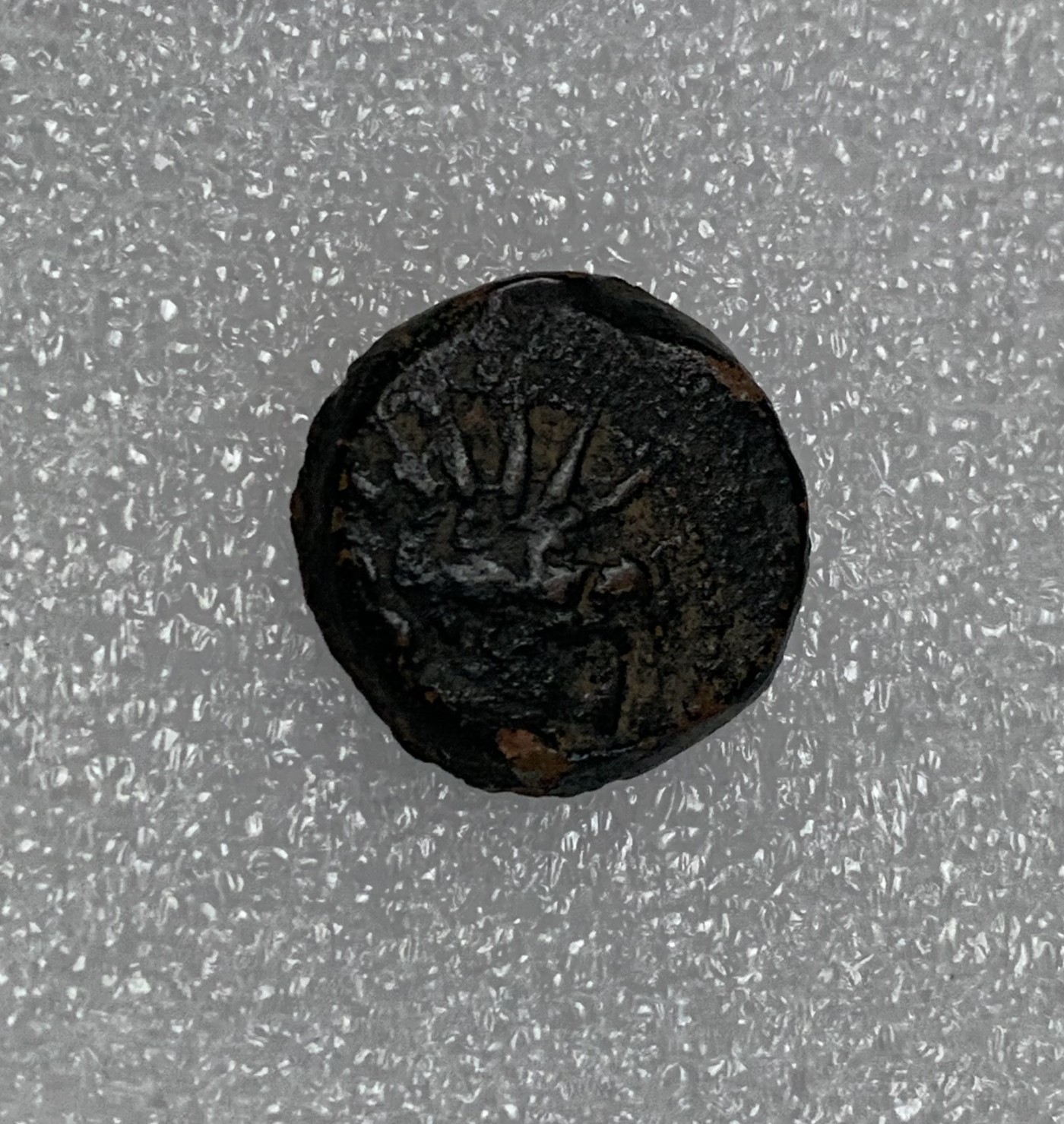 瓶子🏺第124期拍卖会  古希腊猫头鹰铜币