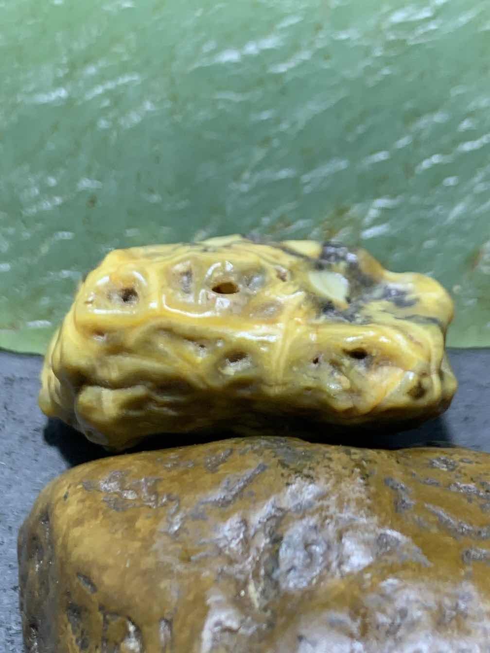 精美戈壁高玉化绿皮鱼籽纹筋脉石原石一颗