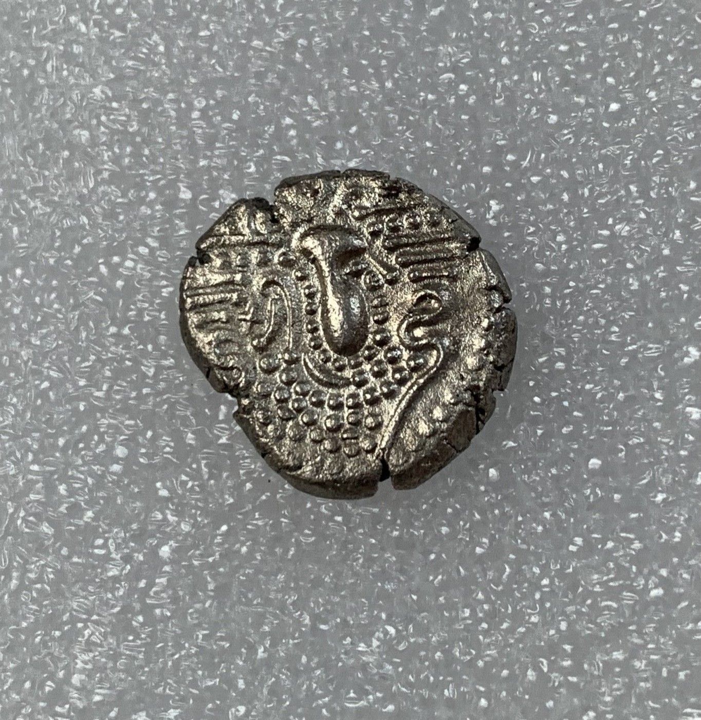 瓶子🏺第124期拍卖会  古吉拉特查拉健银币