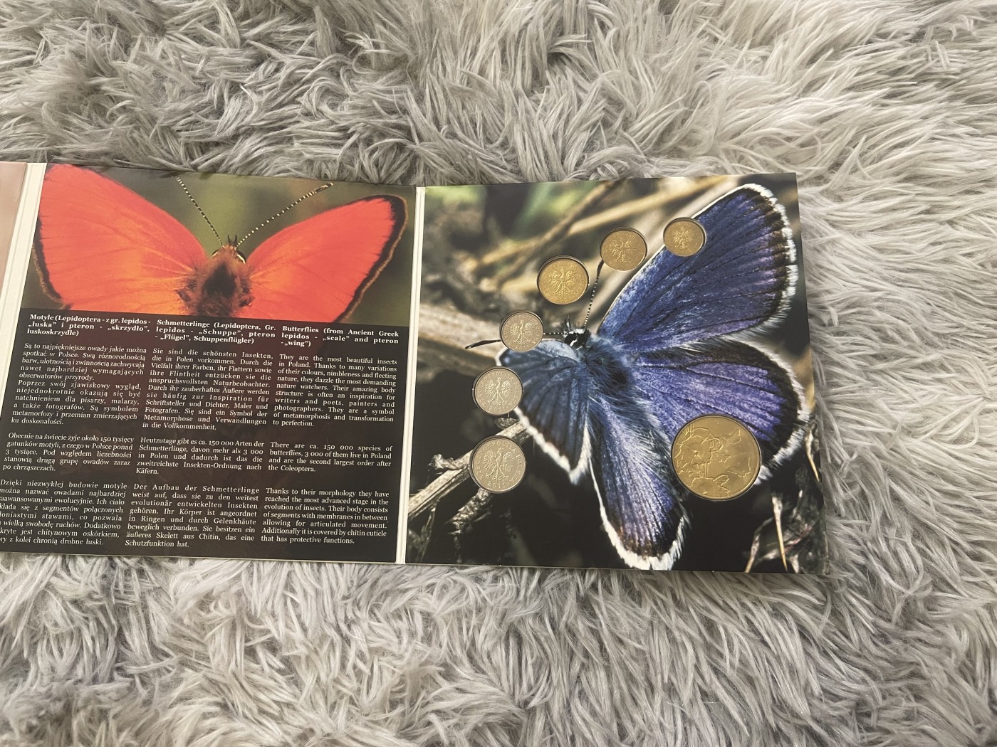 【币观天下】第2期钱币低佣金秒杀专场全场三件以上包邮 波兰2011年官方套币 含一枚蝴蝶彩色纪念章 黄铜币可能有自然氧化