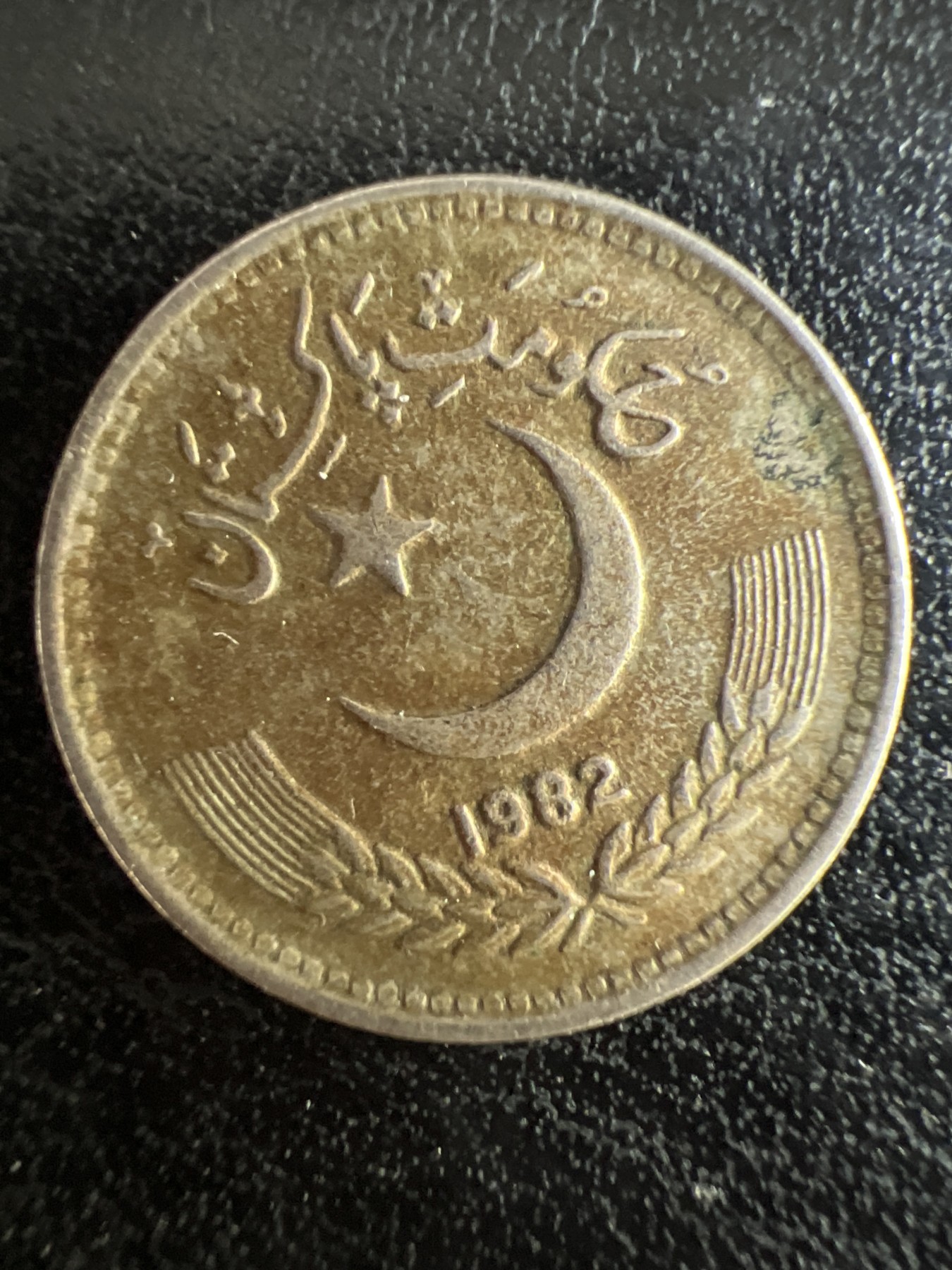 第501期 硬币币专场 （无押金，捡漏，全场50包邮，偏远地区除外，接收代拍业务） 巴基斯坦25卢比