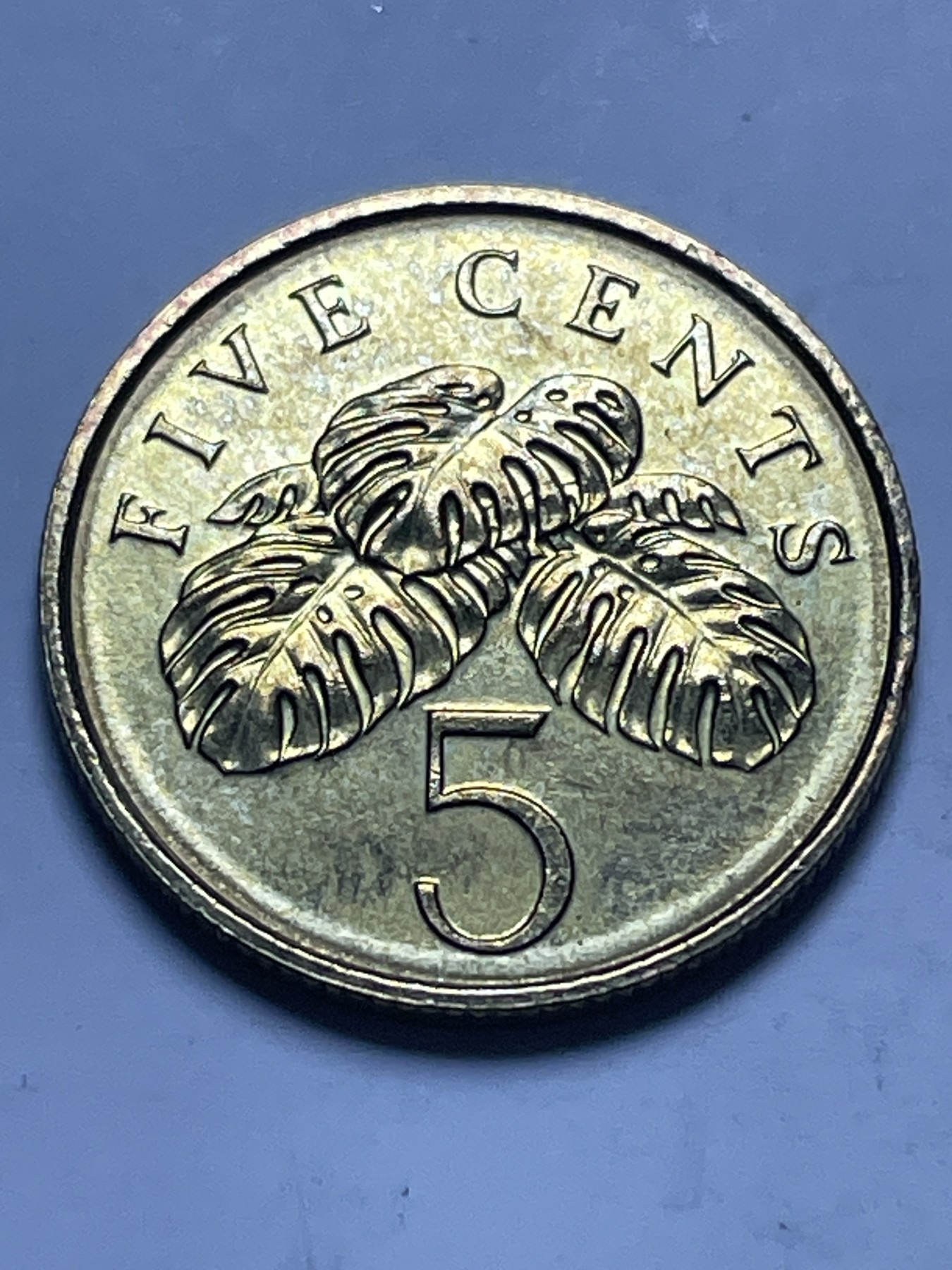 神仙姐姐散币好品专场第十三期（无佣金满邮自动发出 2009 年新加坡 5 分