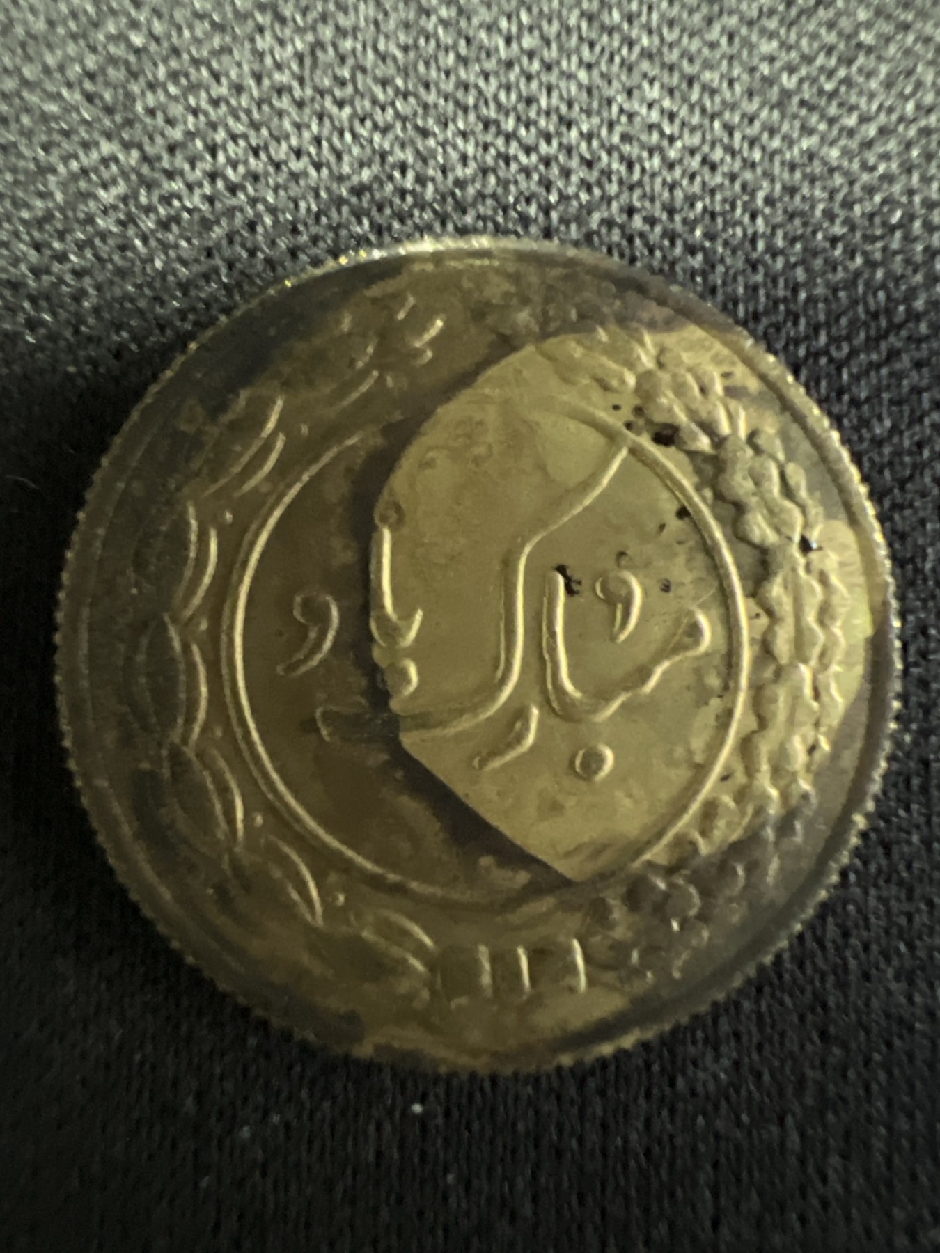 第502期 硬币币专场 （无押金，捡漏，全场50包邮，偏远地区除外，接收代拍业务） 阿拉伯公鸡代用币