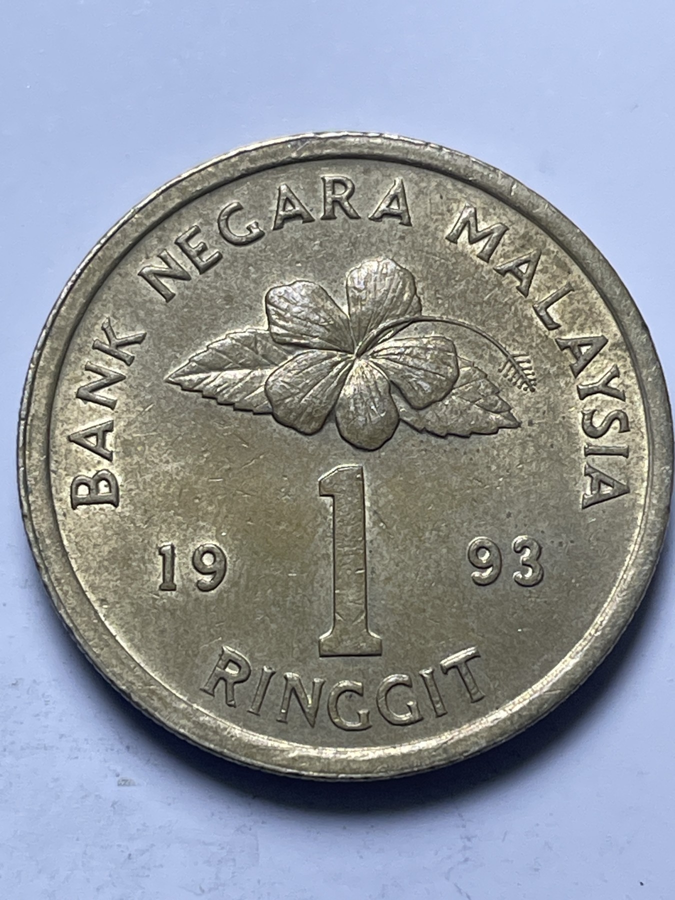 神仙姐姐散币好品专场第十三期（无佣金满邮自动发出 1993 年马来西亚 1 元