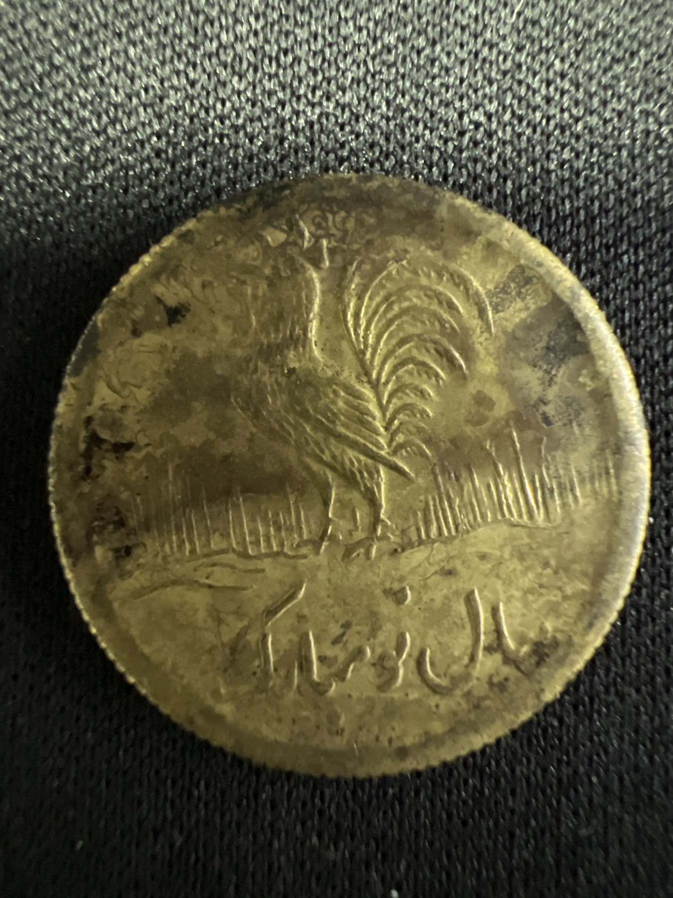 第502期 硬币币专场 （无押金，捡漏，全场50包邮，偏远地区除外，接收代拍业务） 阿拉伯公鸡代用币