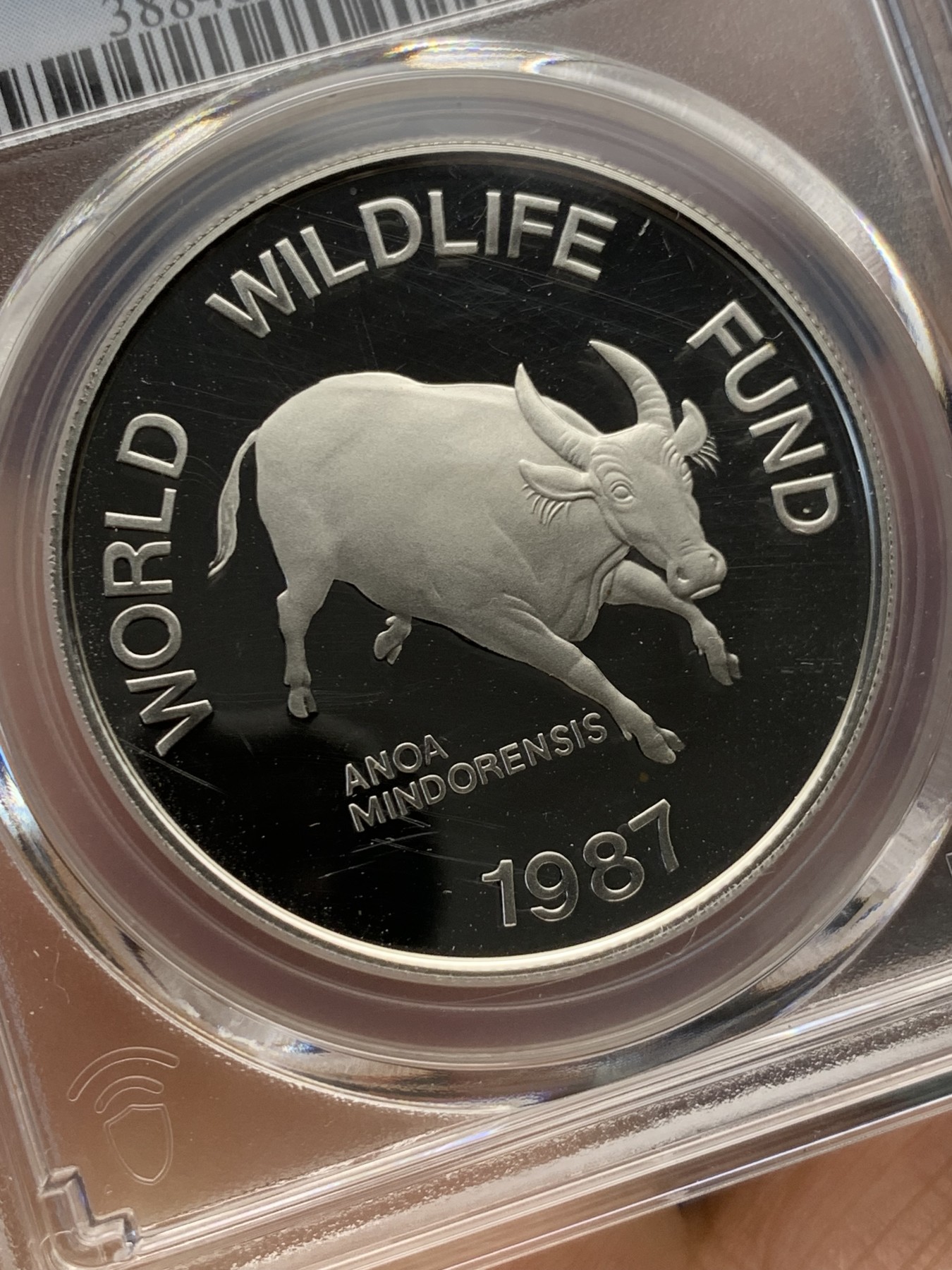 《竞宝斋》第232场-周日，周一 2场 (全场包邮) PCGS金盾 PR69DCAM 菲律宾1987年水牛200比索精制大银币，冠军分