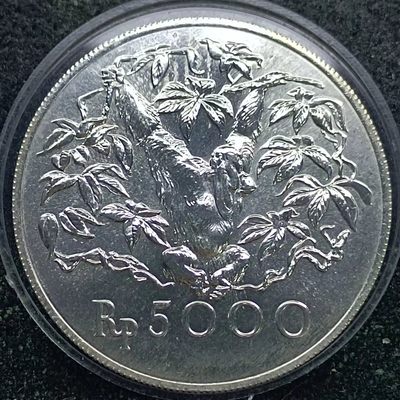 【淘币小摊】第二百四十拍 银币套币场  周三到周日五连拍 满百包邮可预留 周一发货  - 印度尼西亚1974年5000卢比银币