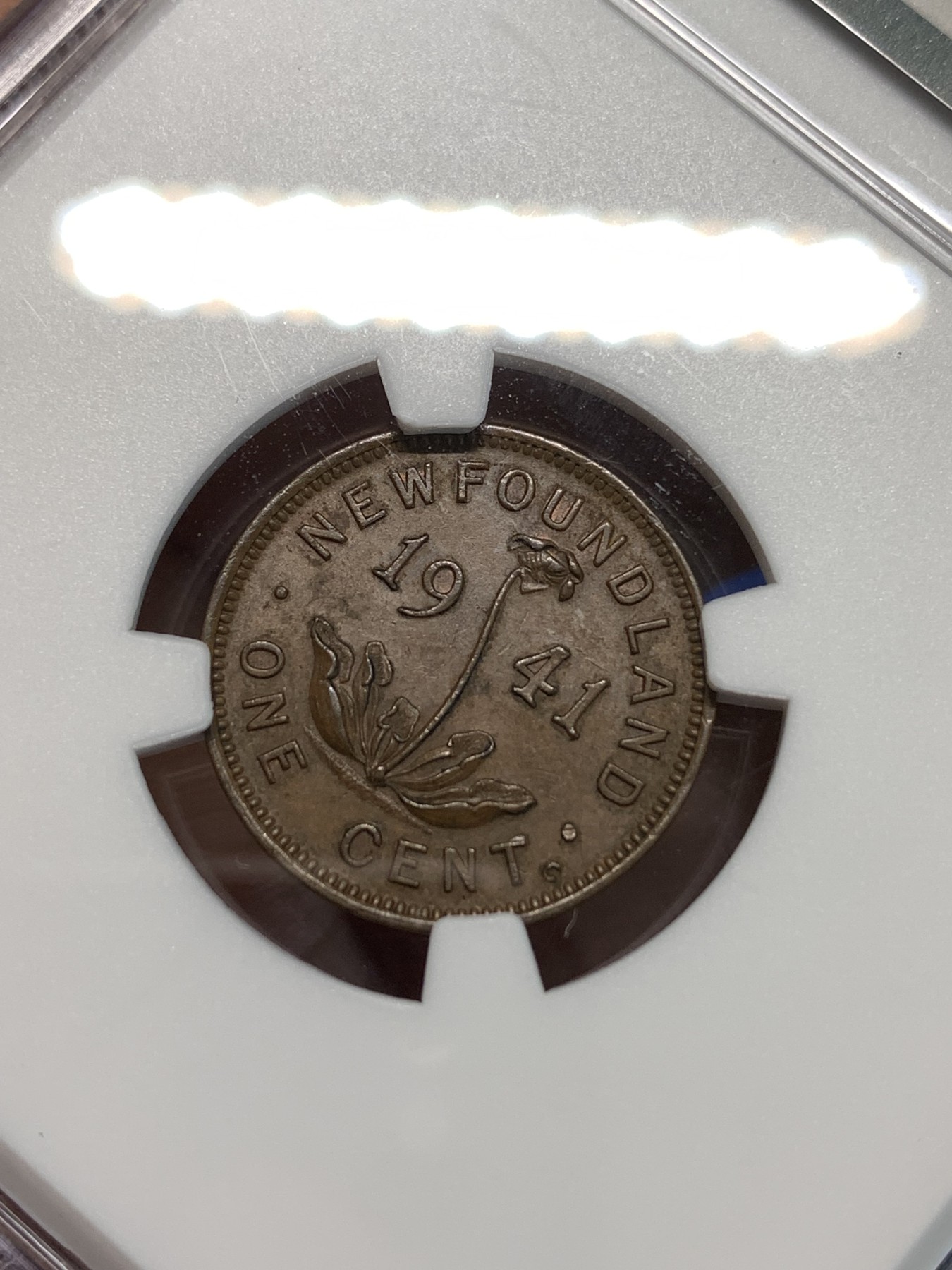 《竞宝斋》第232场-周日，周一 2场 (全场包邮) NGC-MS63BN 纽芬兰1941年乔六1分铜币，书价相当高的品种，普品较常见，高分难得，更高分仅有4枚。同年普通版63分参考价200美元