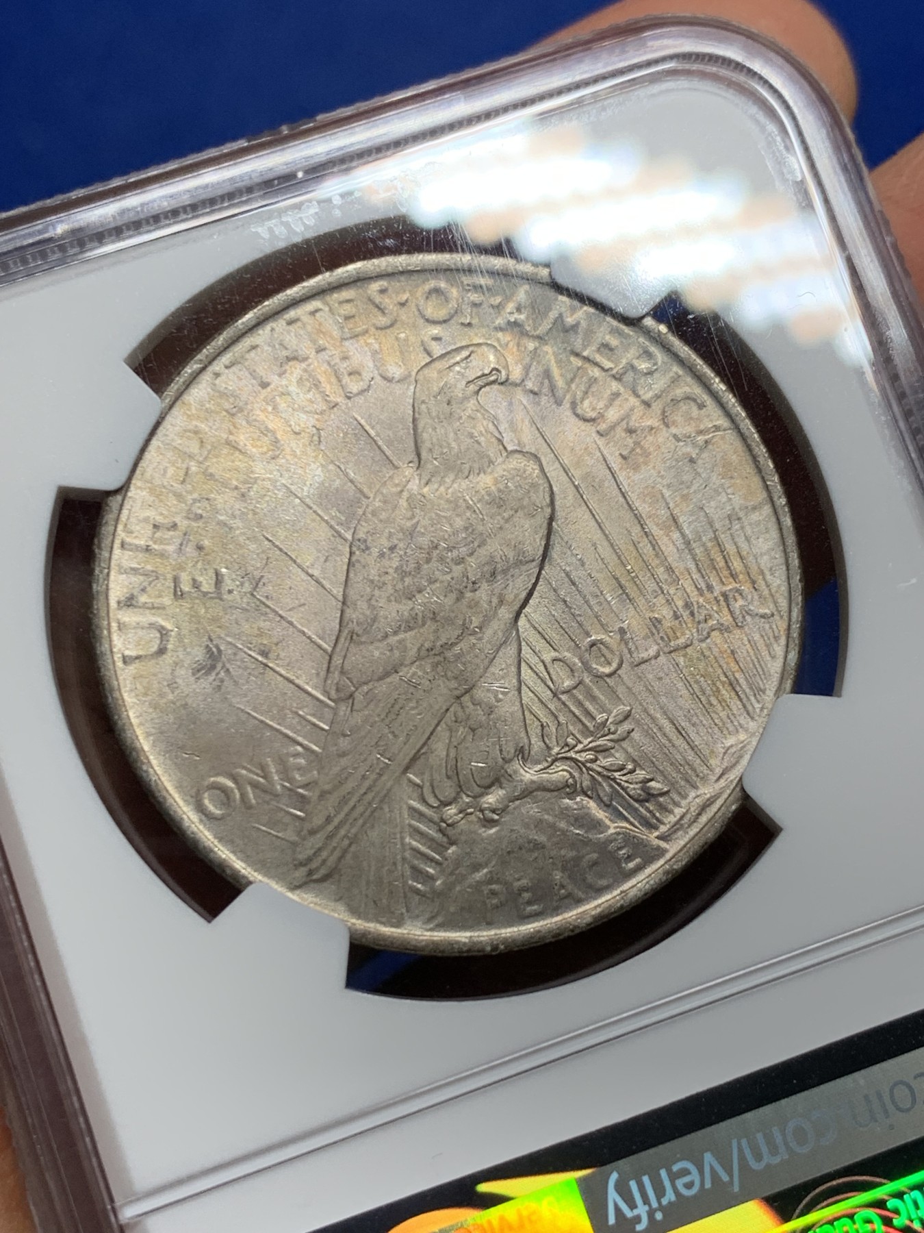 《竞宝斋》第232场-周日，周一 2场 (全场包邮) NGC-MS63 1923年 美国和平银币 淡彩 NGC百年纪念特殊盒子