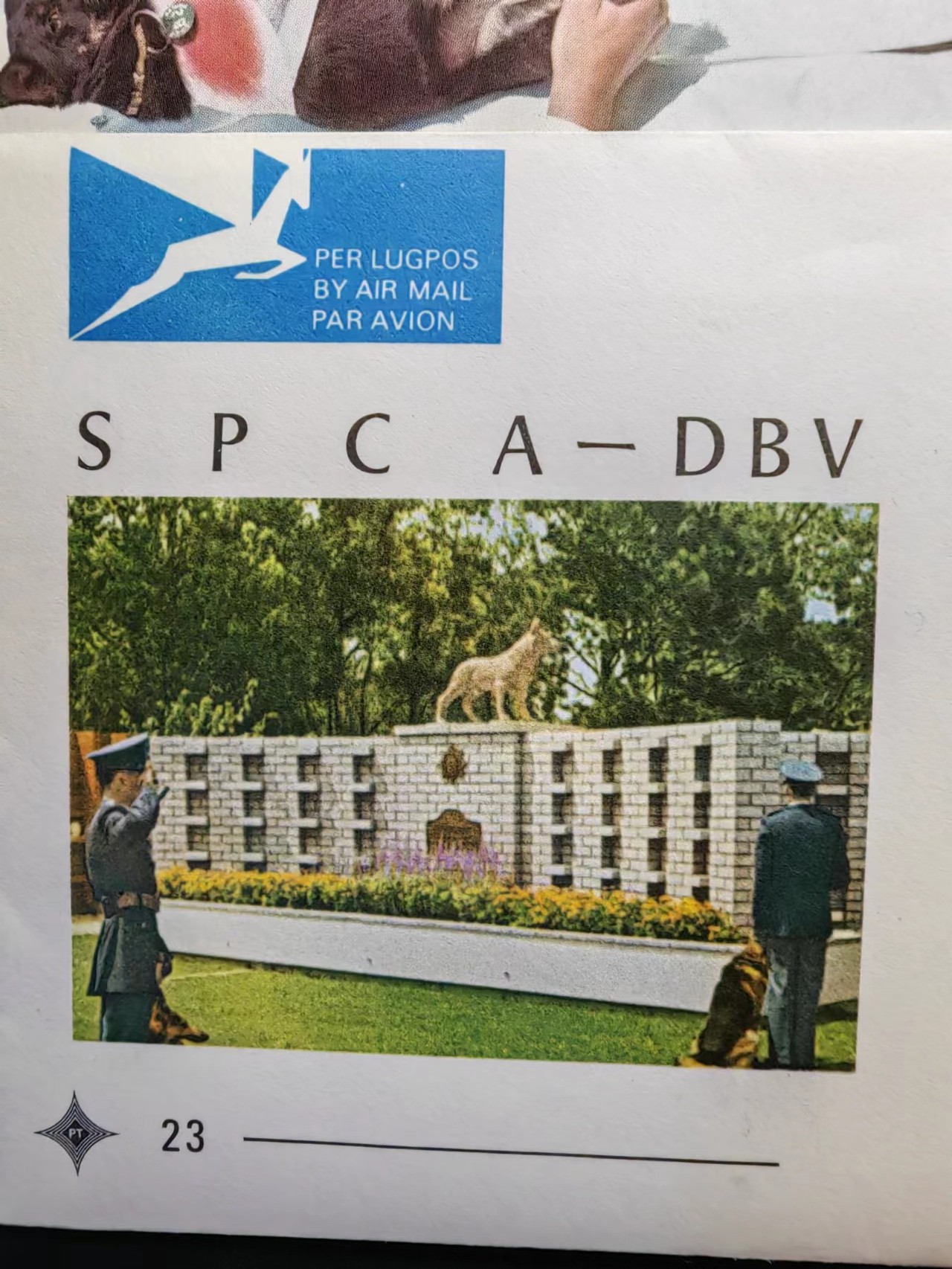 多国首日封✌邮品✌（拍卖场）精品🔥专场 第④②场 西南非1972年 爱护动物协会