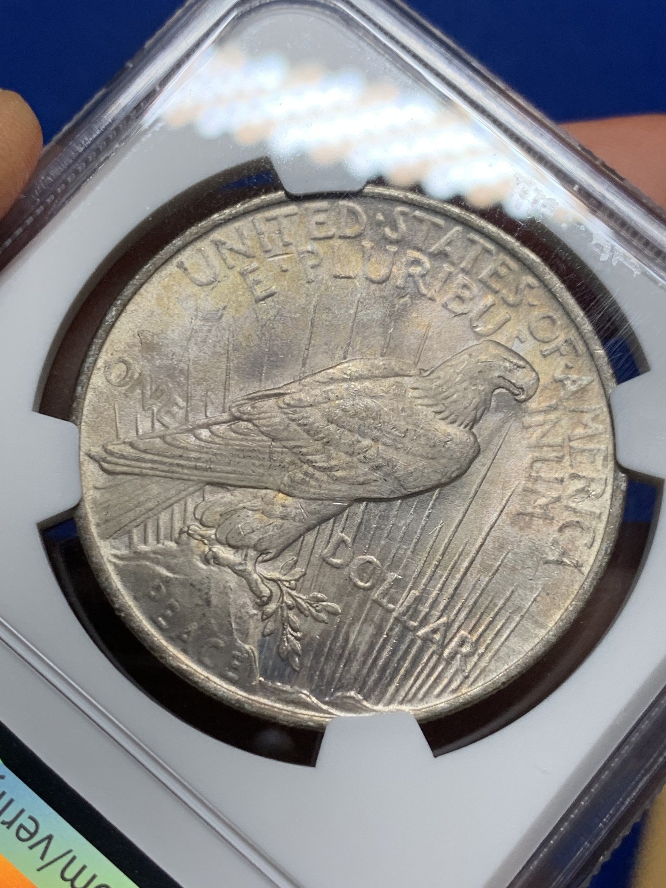 《竞宝斋》第232场-周日，周一 2场 (全场包邮) NGC-MS63 1923年 美国和平银币 淡彩 NGC百年纪念特殊盒子