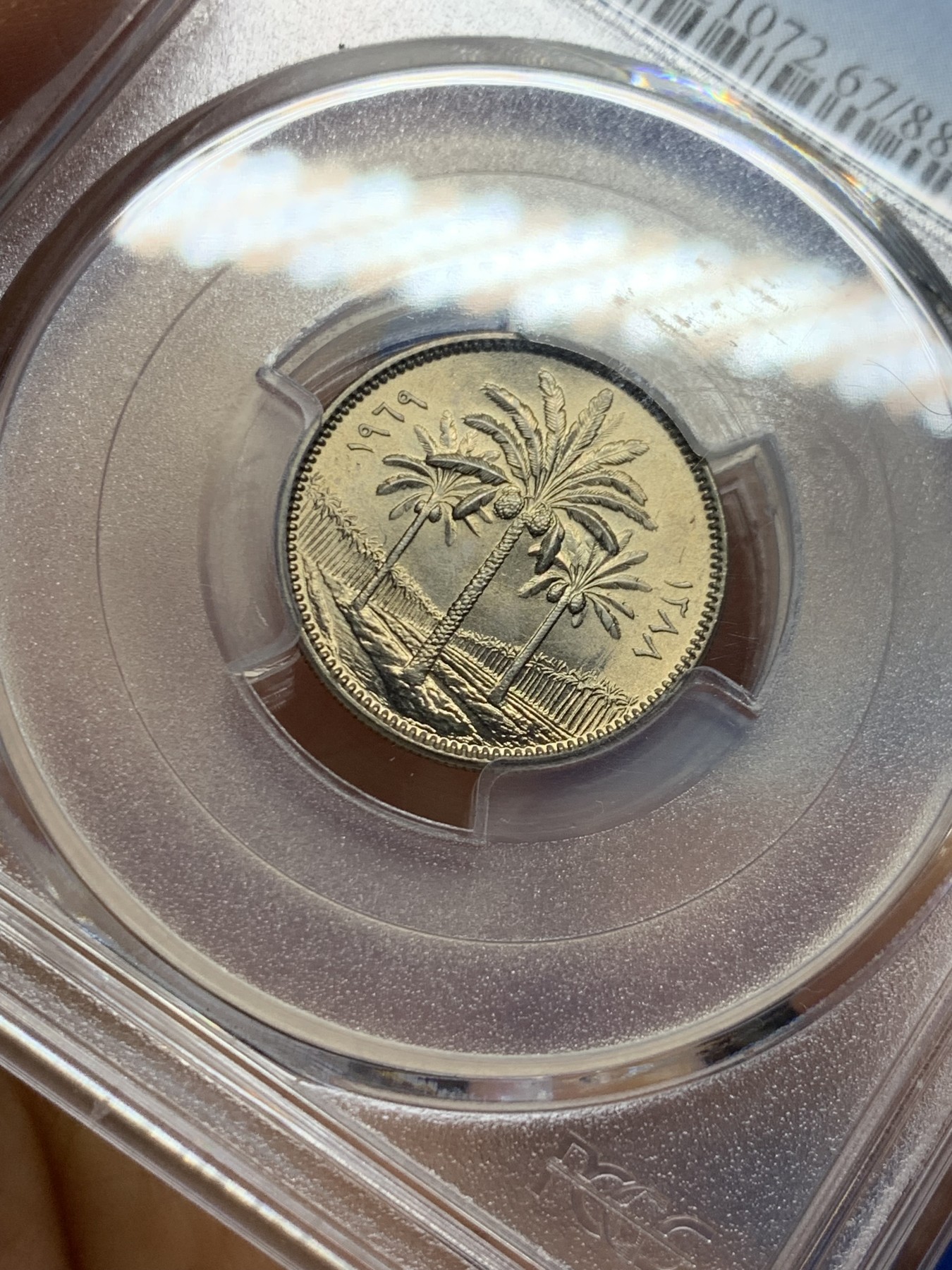 《竞宝斋》第232场-周日，周一 2场 (全场包邮) PCGS金盾 MS67 伊拉克1969年枣椰树25费尔镍币，唯一冠军分