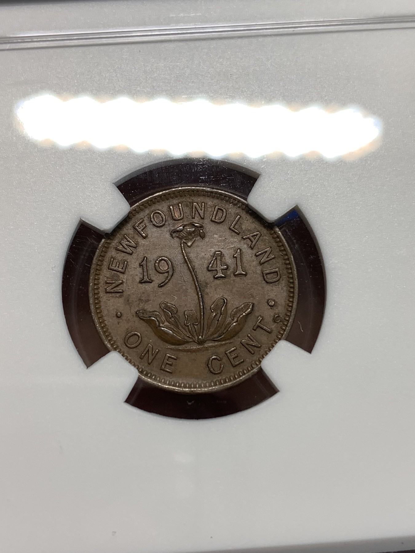 《竞宝斋》第232场-周日，周一 2场 (全场包邮) NGC-MS63BN 纽芬兰1941年乔六1分铜币，书价相当高的品种，普品较常见，高分难得，更高分仅有4枚。同年普通版63分参考价200美元