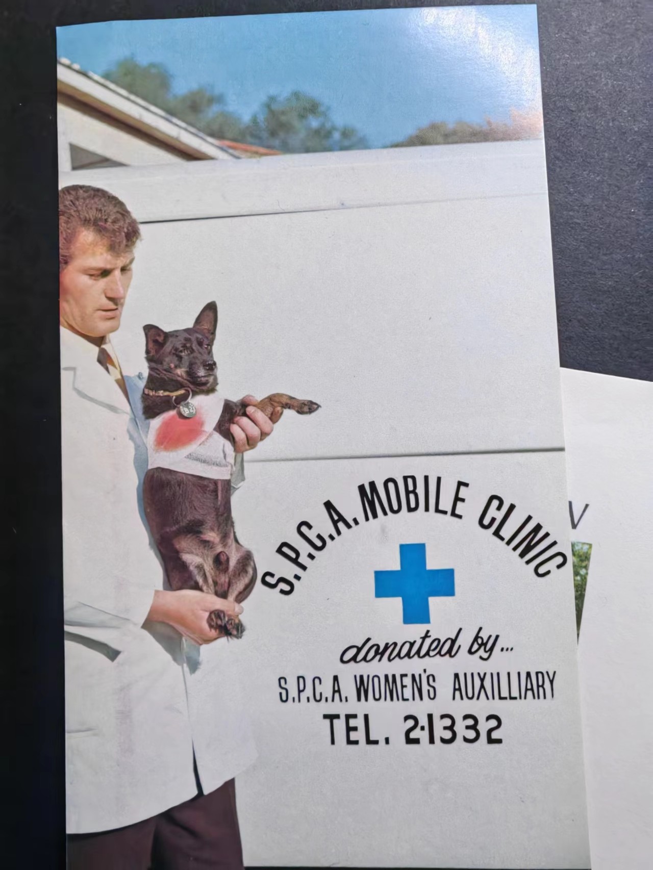 多国首日封✌邮品✌（拍卖场）精品🔥专场 第④②场 西南非1972年 爱护动物协会