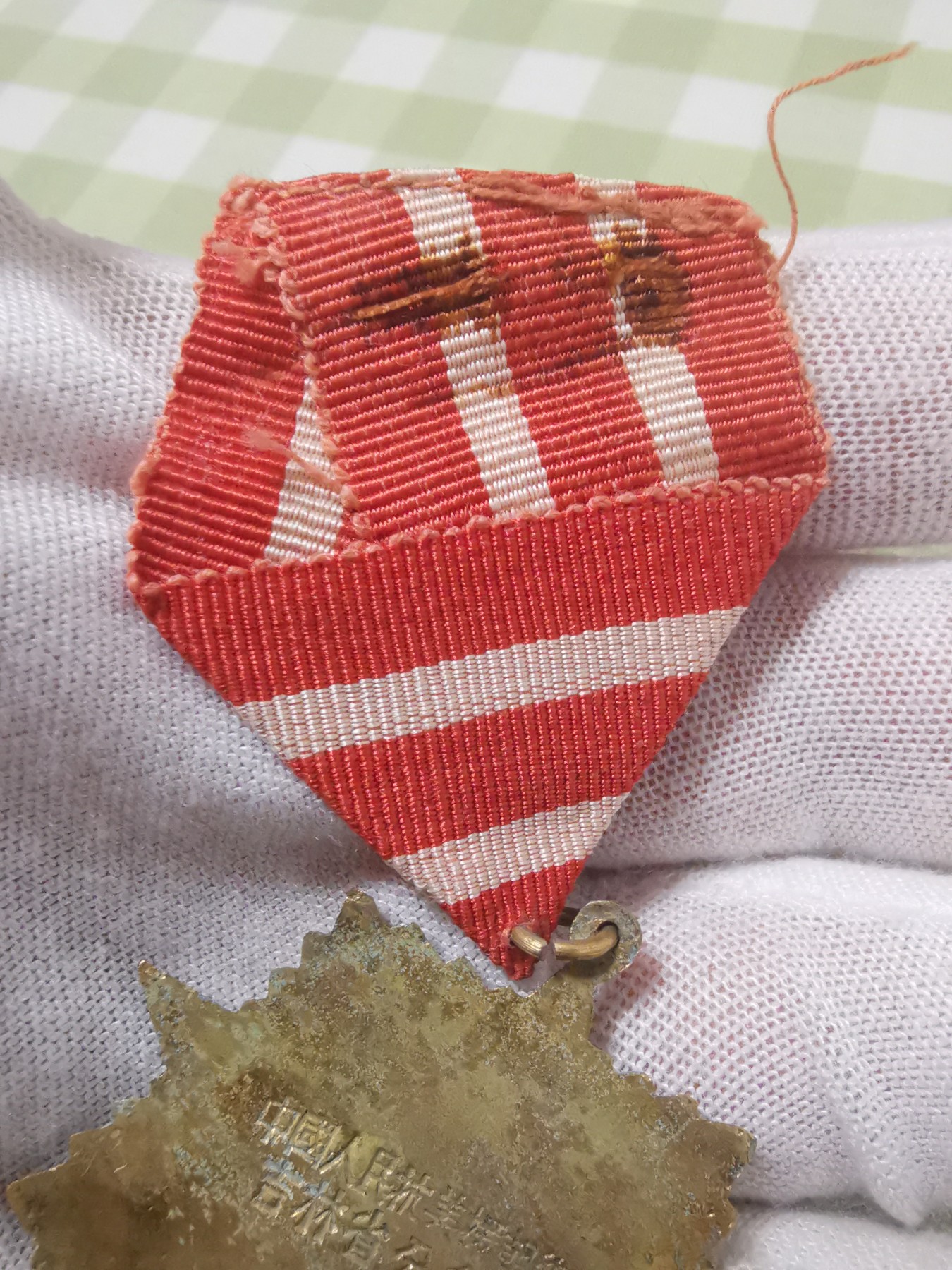 模范休养员(原盒)