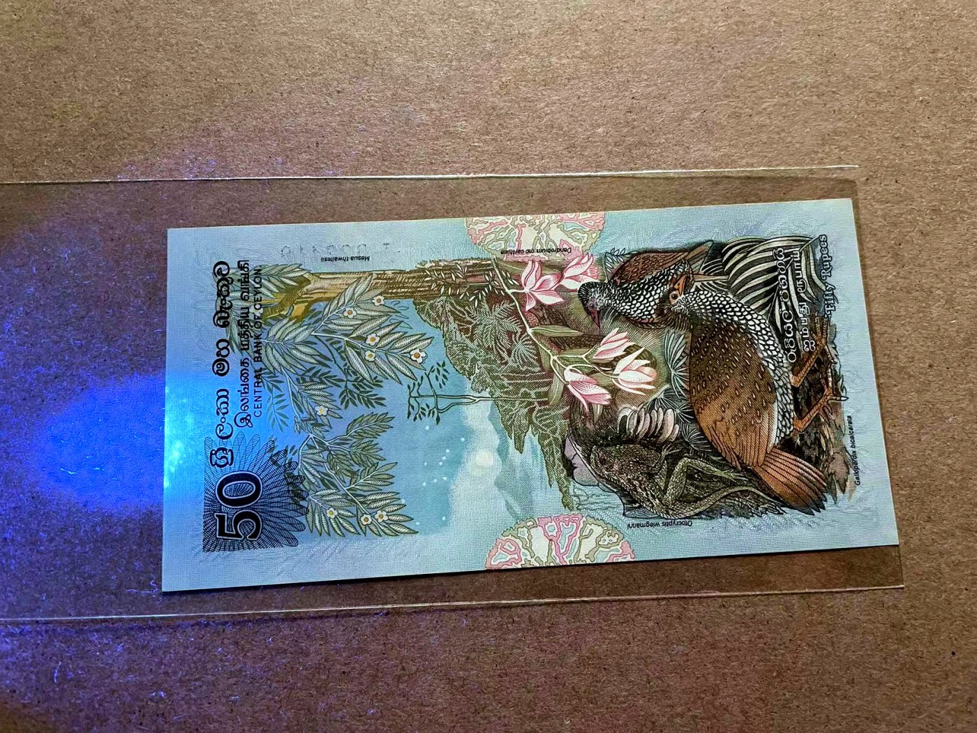 【Blue Auction】✨世界纸币精拍第418期【精】 斯里兰卡 1979年50卢比 UNC- 