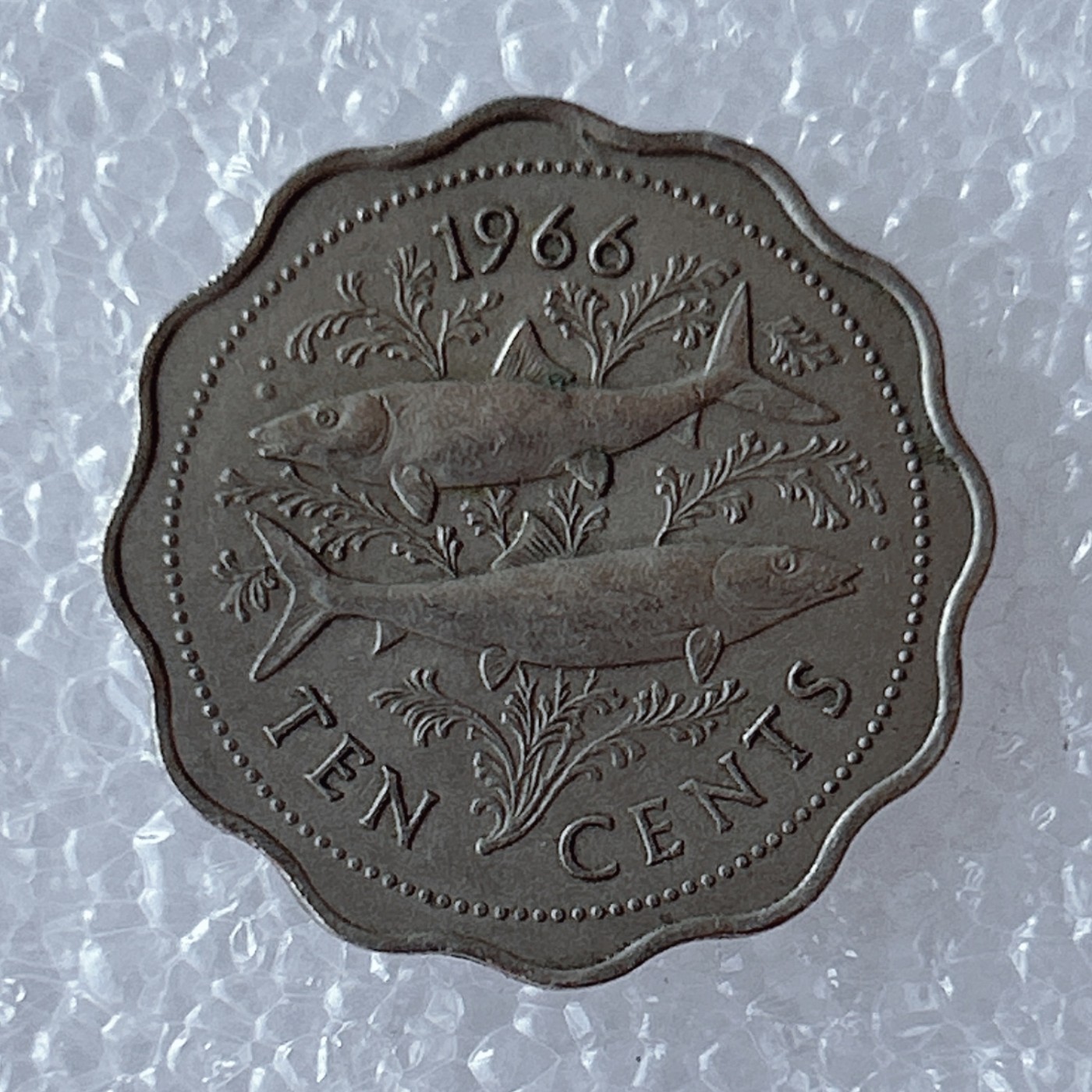 海外回流1元起拍小铺 各国钱币散币场 第5期 巴哈马1966年10分