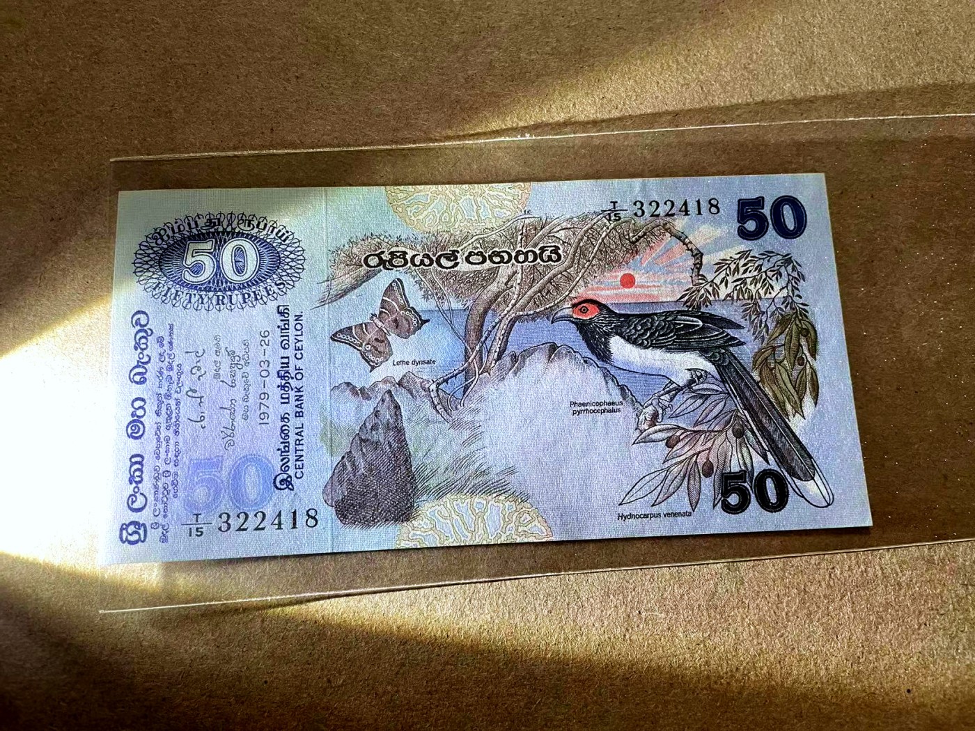 【Blue Auction】✨世界纸币精拍第418期【精】 斯里兰卡 1979年50卢比 UNC- 