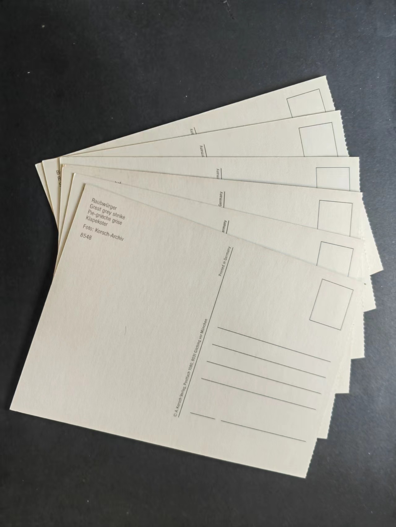 多国首日封✌邮品✌（拍卖场）精品🔥专场 第④③场 鸟类 明信片