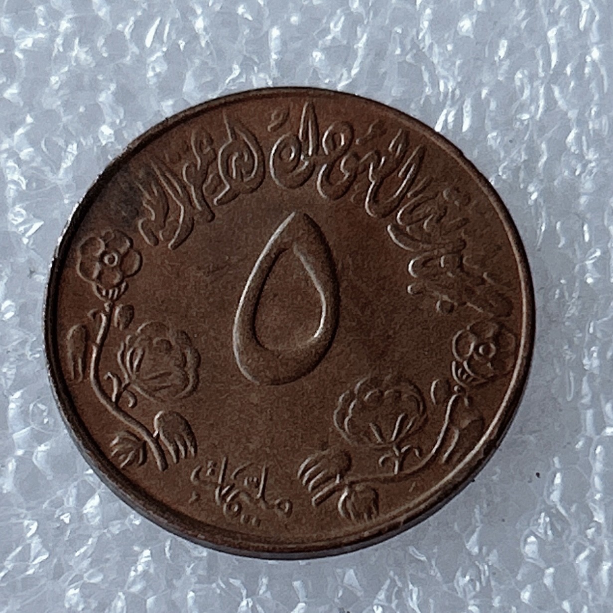 海外回流1元起拍小铺 各国钱币散币场 第5期 苏丹5米利姆铜质硬币