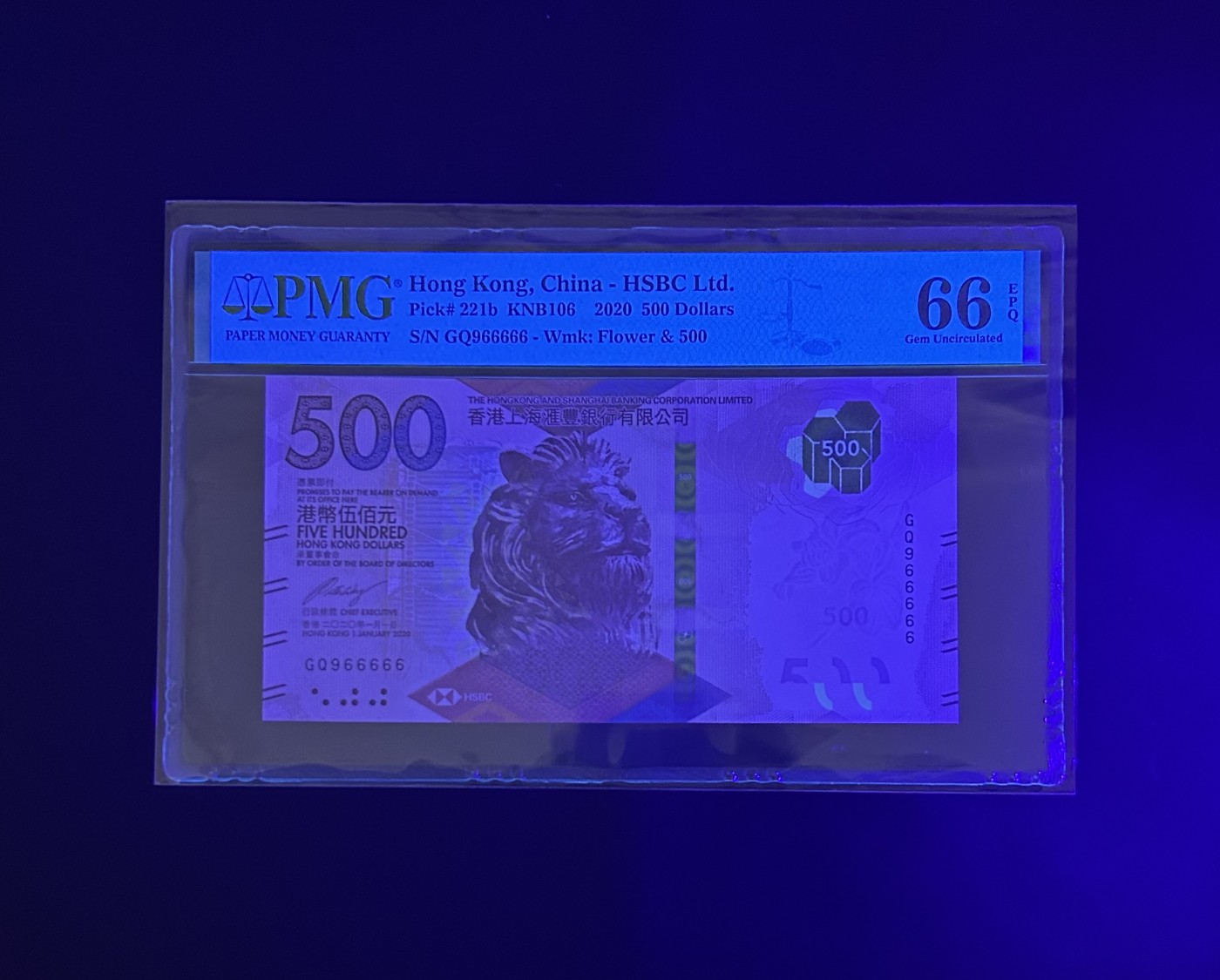 【丑猫0116】今晚六点半，自动快拍 汇丰500【966666】超靓