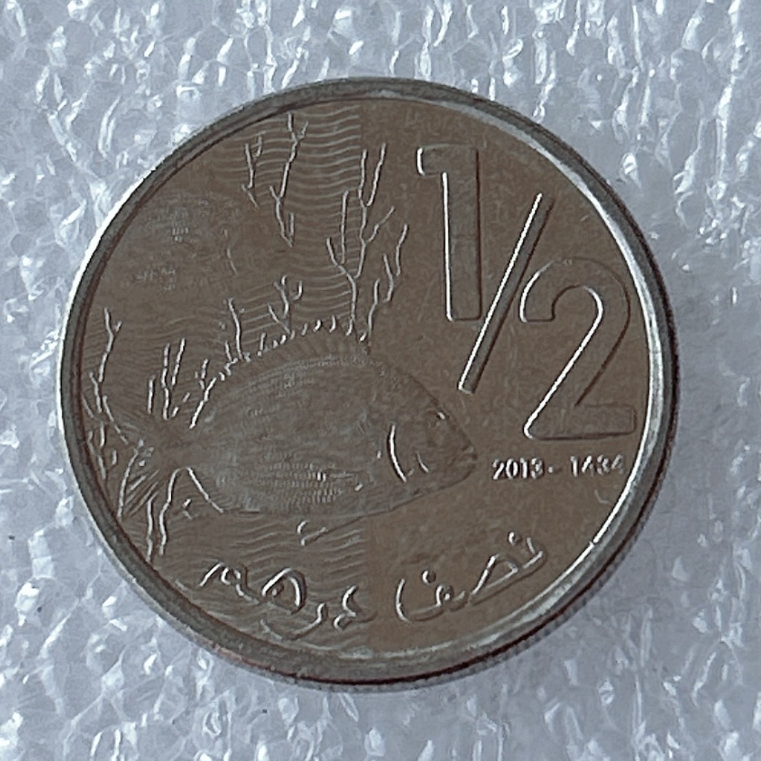 海外回流1元起拍小铺 各国钱币散币场 第5期 摩洛哥2013年1/2迪拉姆鱼镍币
