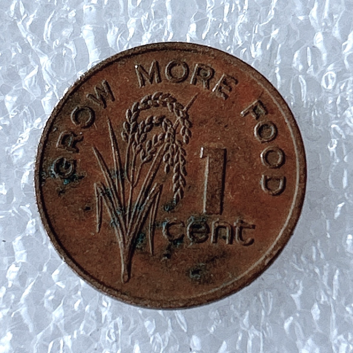 海外回流1元起拍小铺 各国钱币散币场 第5期 斐济1978年1分 粮农组织 水稻