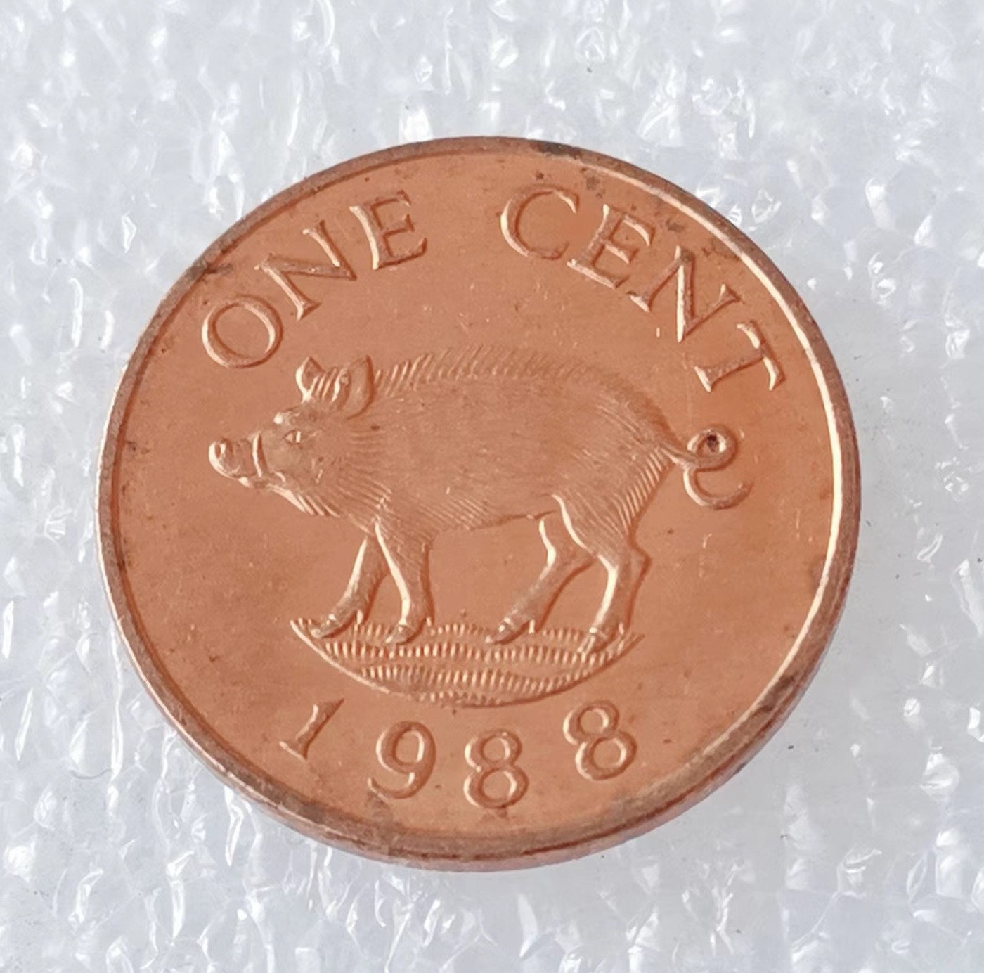 海外回流1元起拍小铺 各国钱币散币场 第5期 1988年百慕大1分硬币 野猪 高冠女王头像 