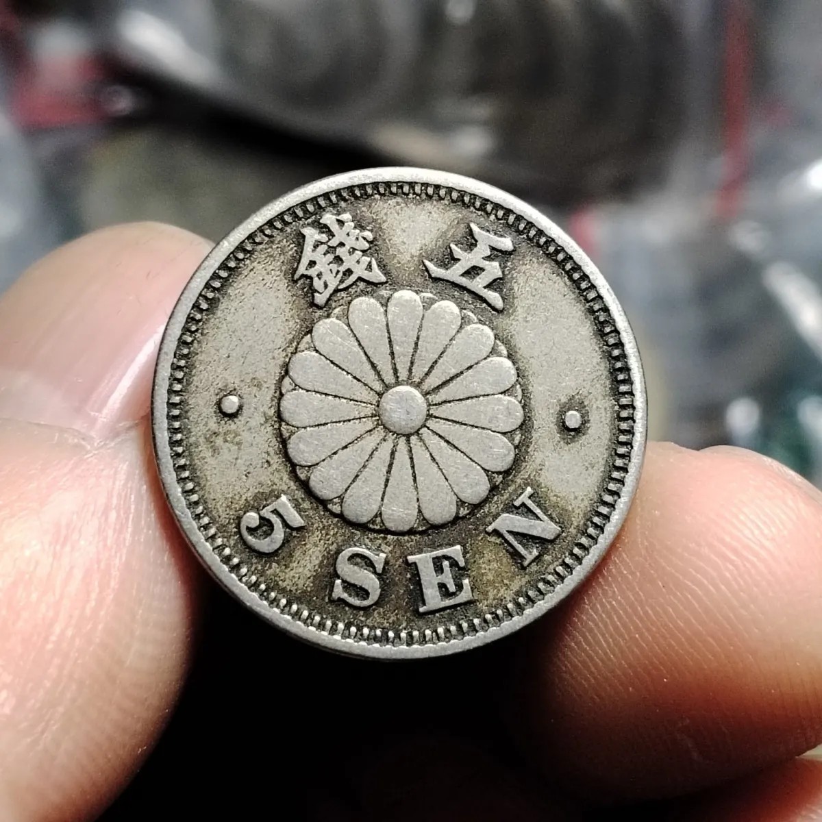231221 白铜大字菊花五钱 日本5钱硬币20.6mm随机发货
