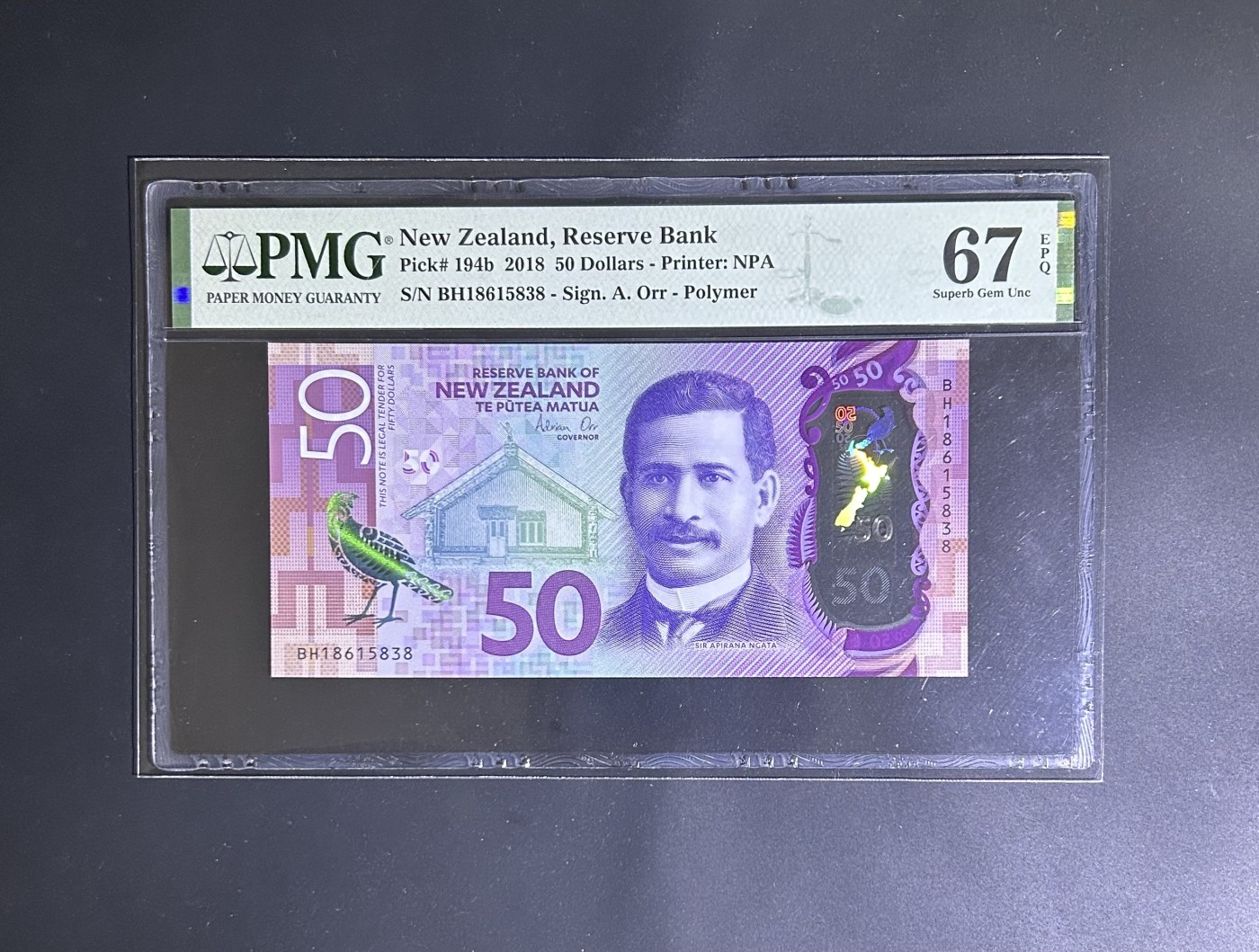 【丑猫0116】今晚六点半，自动快拍 新西兰50(无47)