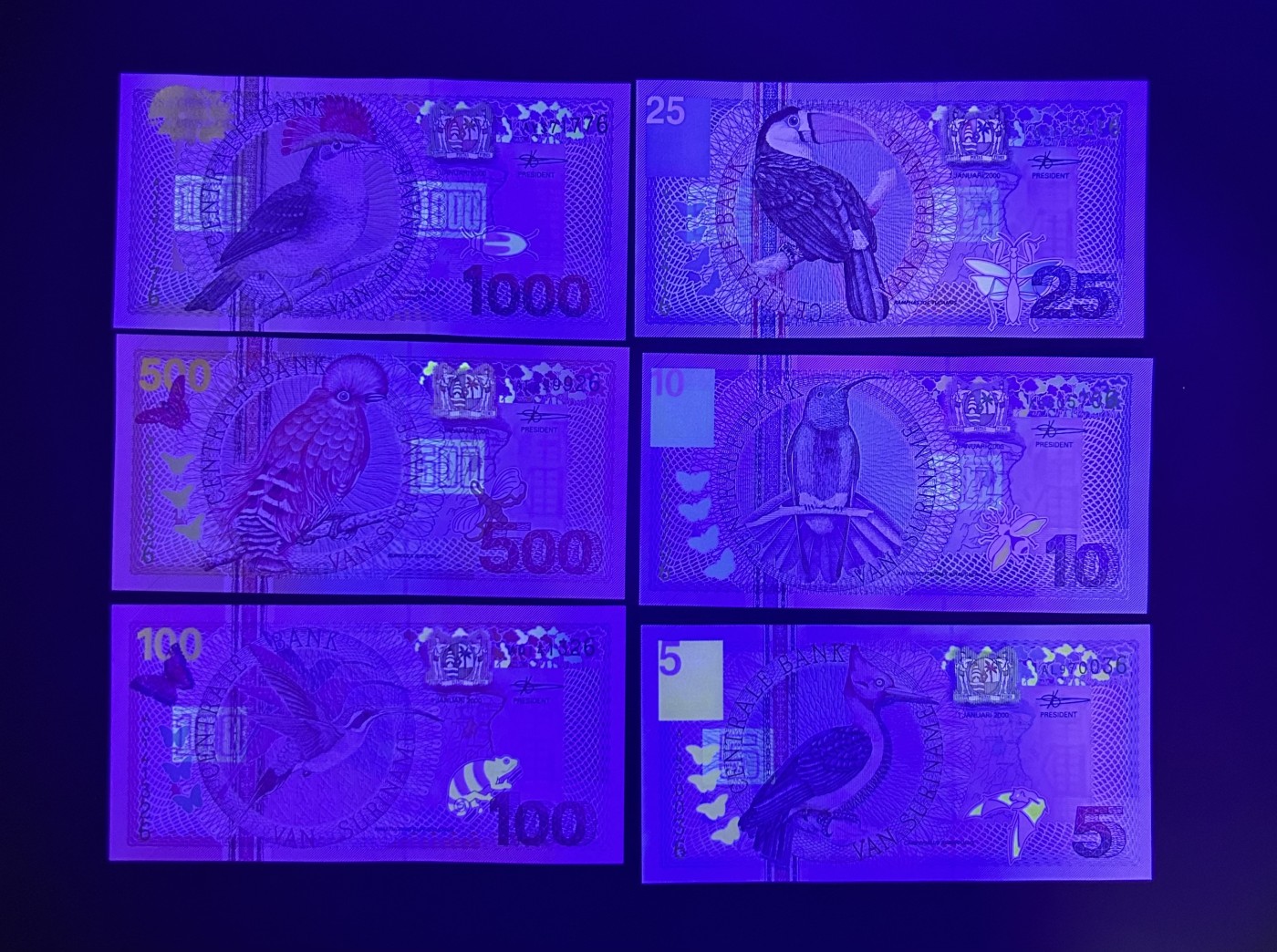 【丑猫0116】今晚六点半，自动快拍 苏里南unc*6(尾6)