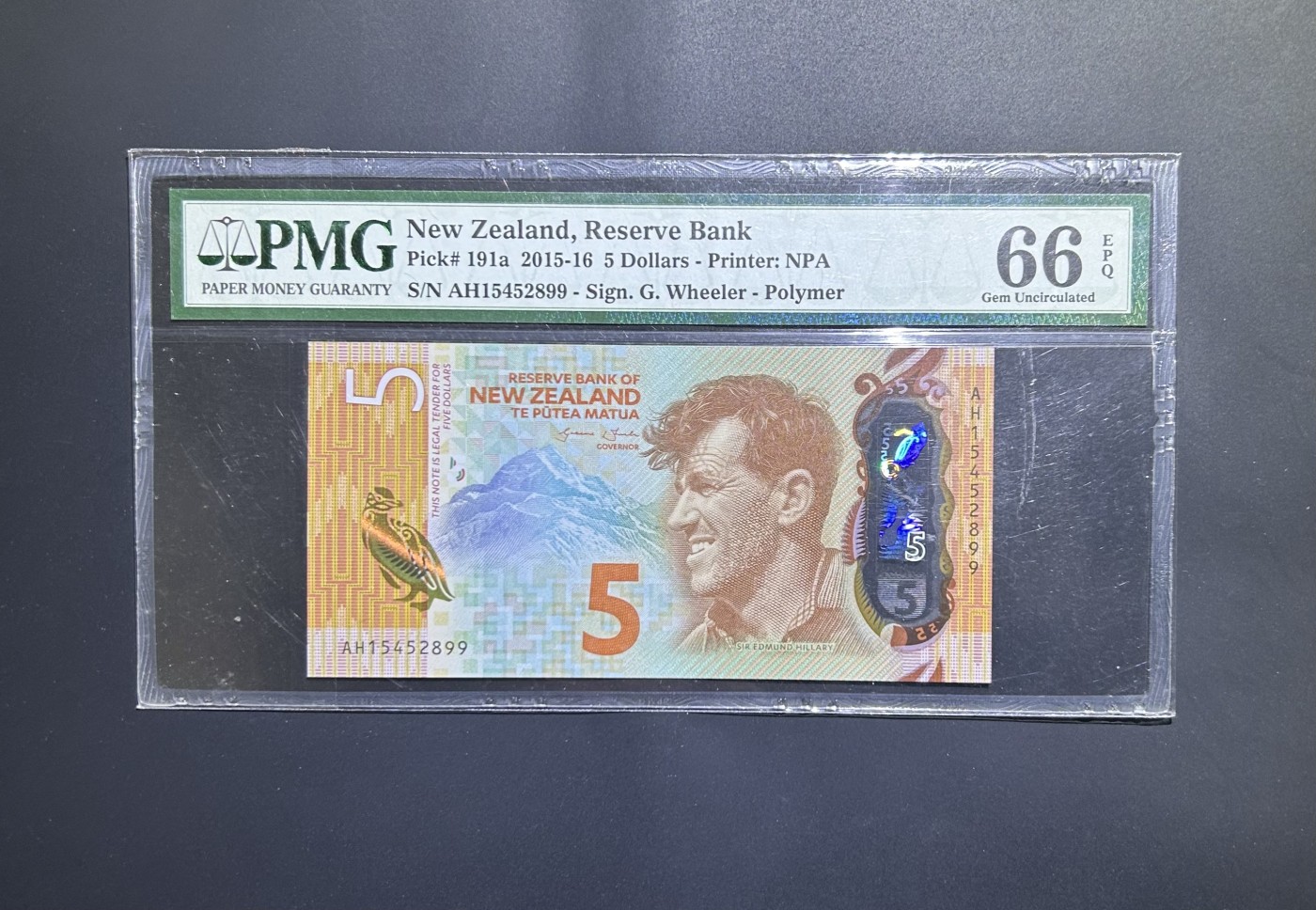 【丑猫0116】今晚六点半，自动快拍 15年新西兰