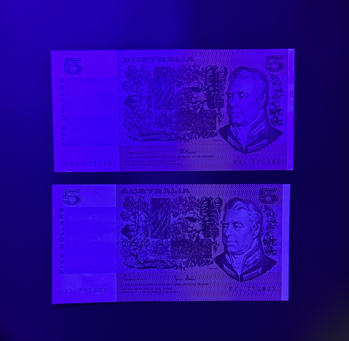 【丑猫0116】今晚六点半，自动快拍 澳洲两种签名unc*2