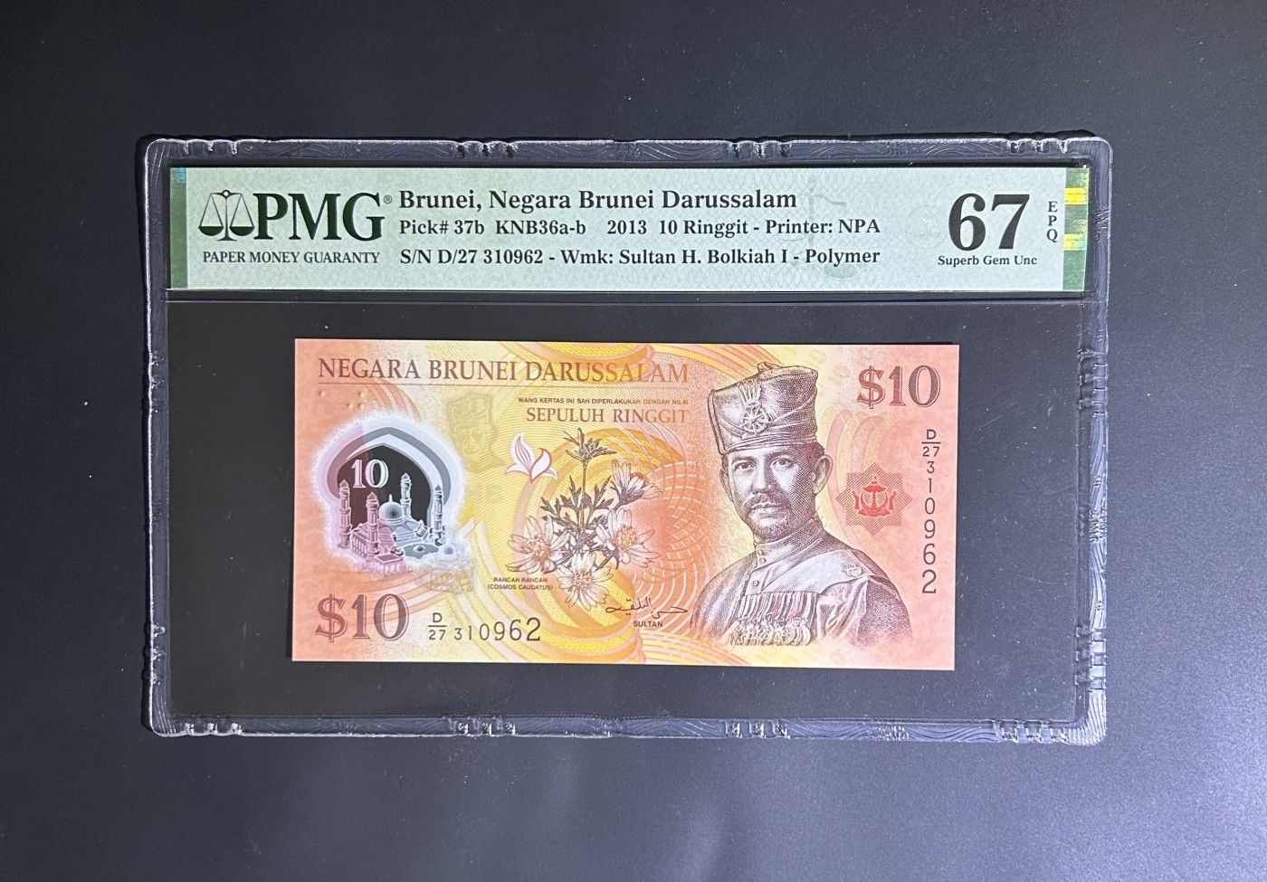 【丑猫0116】今晚六点半，自动快拍 文莱10