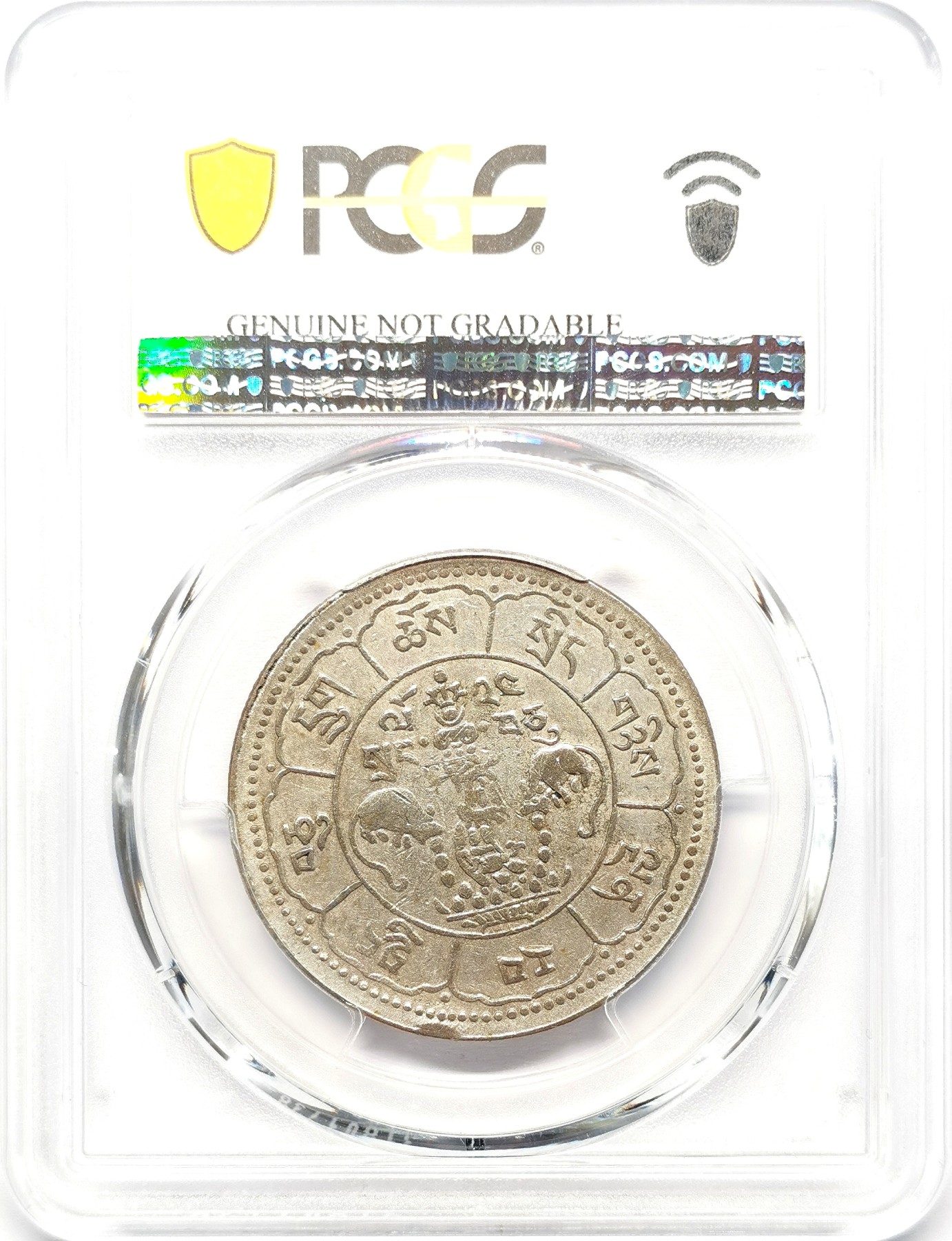 凡希社世界钱币微拍第二百五十八期 1950中国西藏吐宝鼠久果十两PCGS-VFD 珠圈粒粒分明，细节上佳，吐宝鼠高品难度远远大于另一种背文字久果！