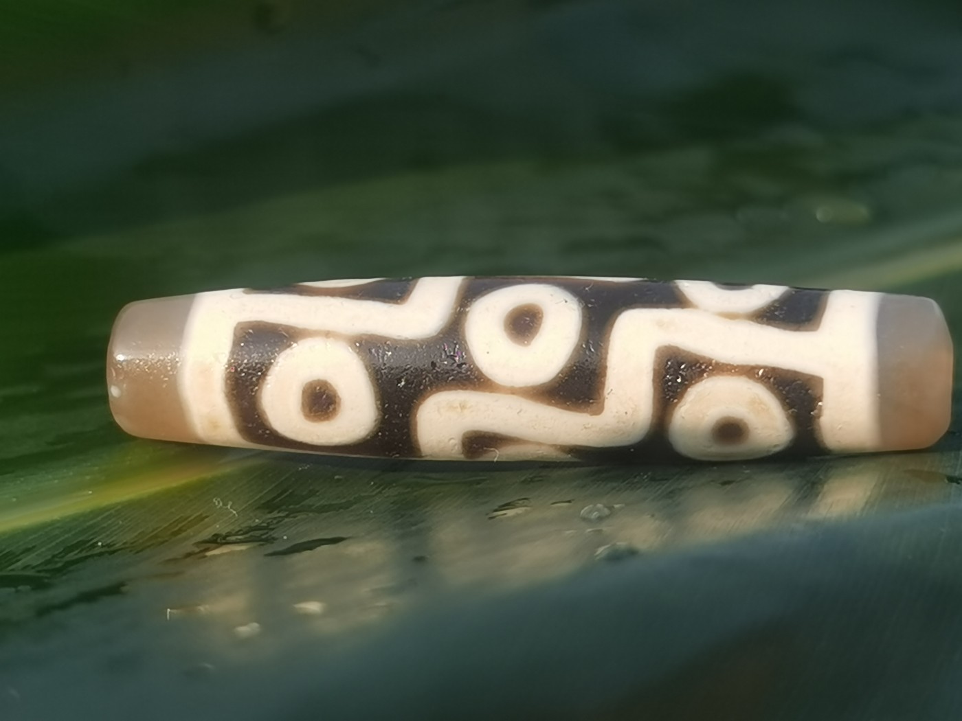 天珠拍卖壹场 九眼天珠