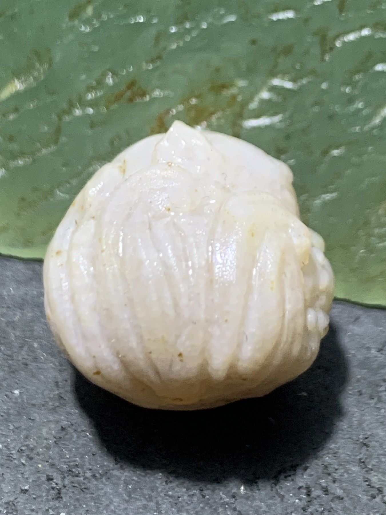放福利！精美亚光高玉化阿拉善玛瑙手工雕刻灵狐珠子（吊坠）一颗