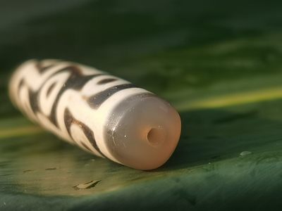 天珠拍卖壹场 九眼天珠