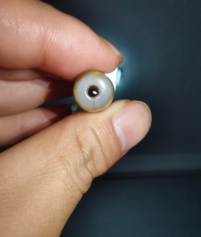 天珠拍卖壹场 九眼天珠