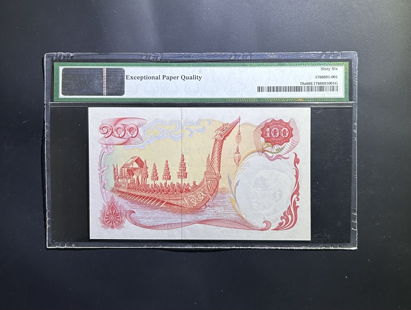 【丑猫0116】今晚六点半，自动快拍 名誉品.天鹅船