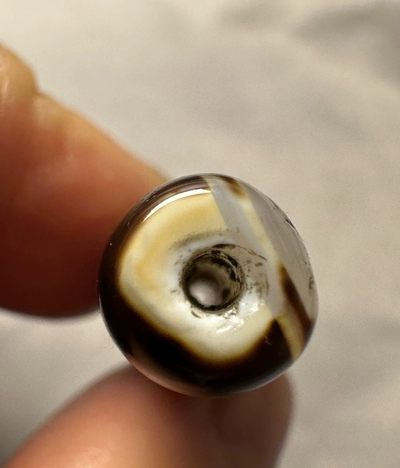 天珠拍卖壹场 藏传六眼天珠