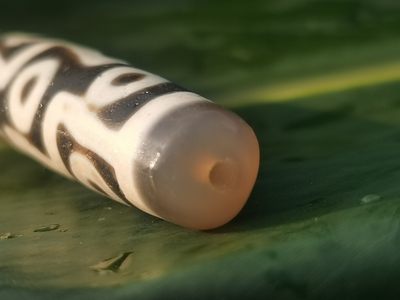 天珠拍卖壹场 九眼天珠