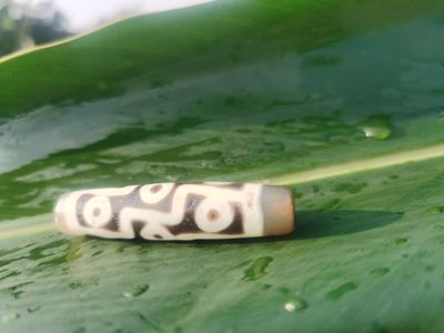 天珠拍卖壹场 九眼天珠