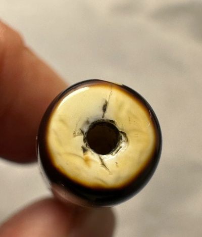 天珠拍卖壹场 藏传六眼天珠