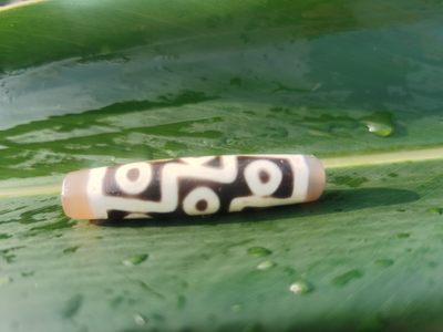 天珠拍卖壹场 九眼天珠