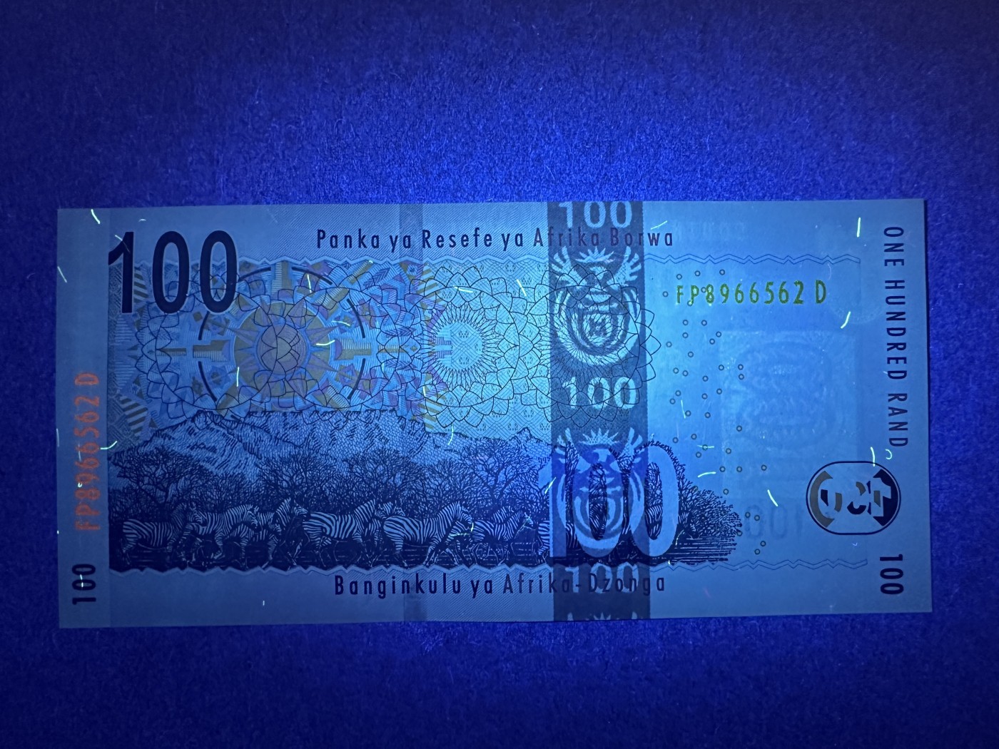 《张总收藏》134期-外币精品畅拍 南非100兰特 AU 2005年版水牛