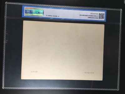 公博评级宣传画 公博评级，特殊时期宣传画    《巡逻海疆》，这是纪念特殊年代海军的画像，外壳尺寸约19*26.4CM，公博评级62分