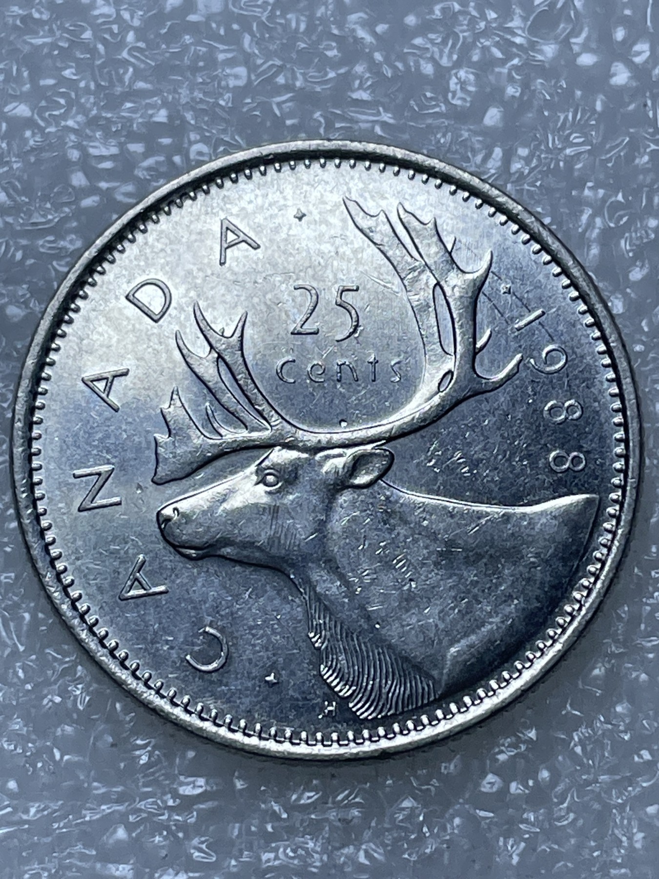 神仙姐姐散币好品专场第十五期（无佣金满邮自动发出 1988 年加拿大 25 分