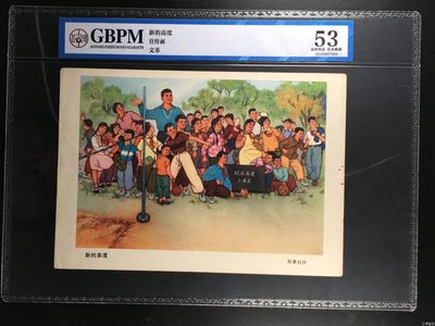 公博评级宣传画，都是特殊年代的，时代特征明显 - 公博评级，特殊时期宣传画    《新的高度》，这是纪念特殊年代小学生体育课的画像，外壳尺寸约19*26.4CM，公博评级53分