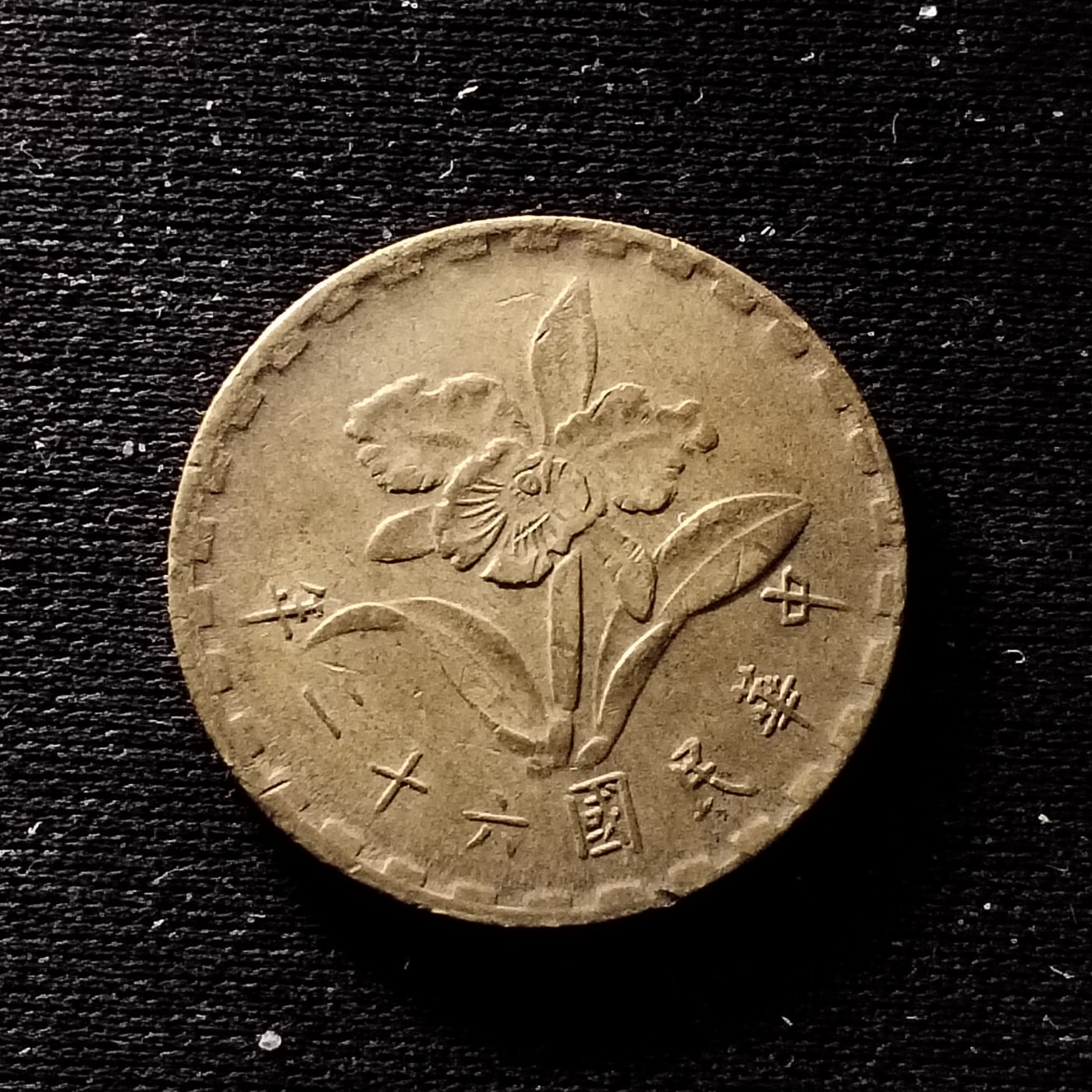 240114 五角6841